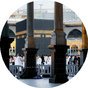 بروفايل محمود