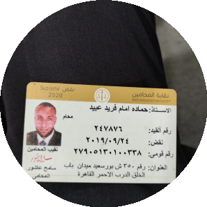 بروفايل حمادة امام فريد