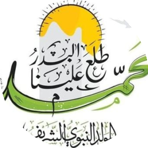 بروفايل Mohamed