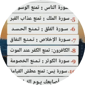 بروفايل مايسه عادل عبدالمنعم محمد عادل عبد المنعم
