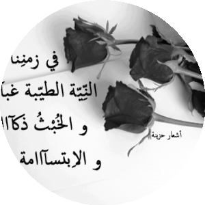 بروفايل عفاف عبدالعاطي النجار