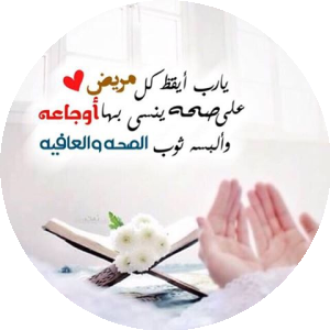 بروفايل محمود فوزي