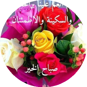 بروفايل وائل بدوى