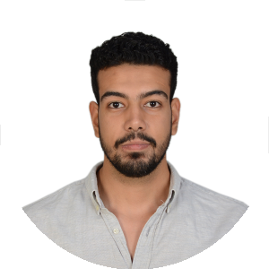بروفايل احمد فليفل