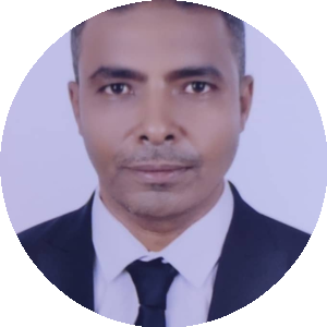 بروفايل عصام االدين احمد عبد العزيز