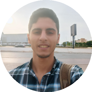 بروفايل محمد صبري إبراهيم عبدالباري صبري