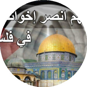 بروفايل محمد عبد الباسط ربيع