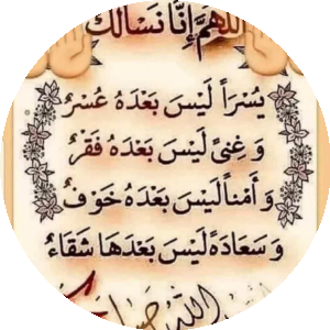 بروفايل عمرو حمدي