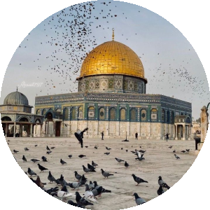 بروفايل Hager ibrahim