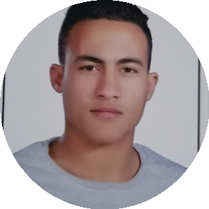 بروفايل احمد حمدي