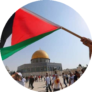 بروفايل Hamdi ahmed Elngar