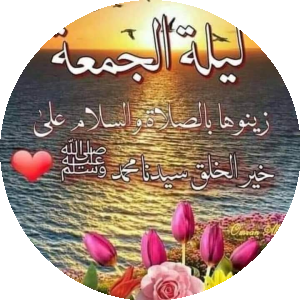 بروفايل Mostafa