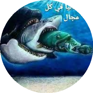 بروفايل عبدالرحمن المالكي المالكي