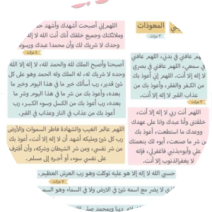بروفايل Mohamed Hassan