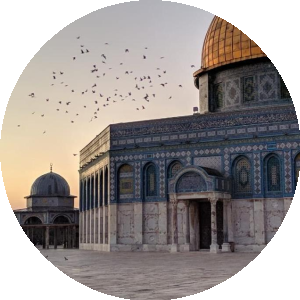 بروفايل sofyan Ayrot