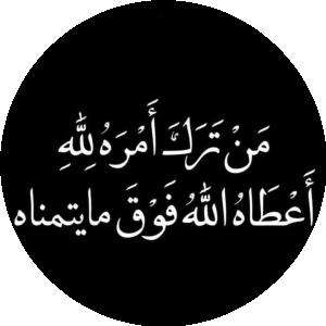 بروفايل محمود