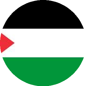 بروفايل وائل فتحى