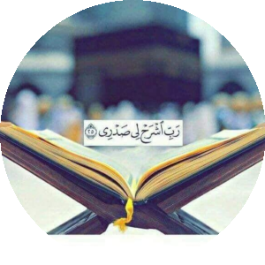 بروفايل محمد احمد