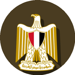 بروفايل برهان الدين