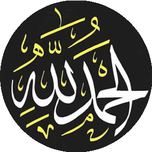 بروفايل محمد عبدالهادى