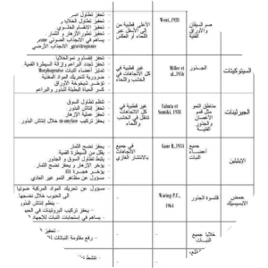 بروفايل احمد
