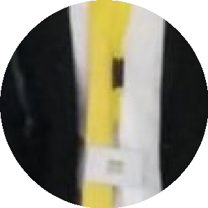 بروفايل مينا هندى