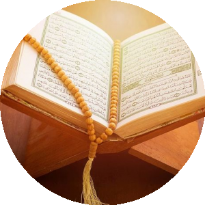 بروفايل Ibrahim Ahmed Mohamed